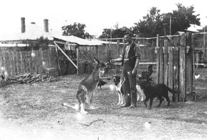 100 Years Ago - November 4th 1922