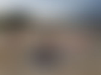 2021: and still we can't fix Stupid