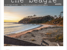 Beagle Weekender of August 7th 2020