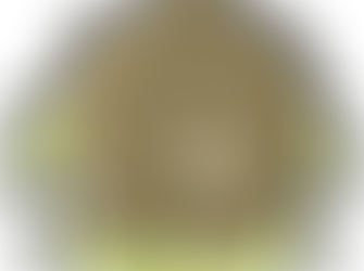 Editorial Feb 4th 2022