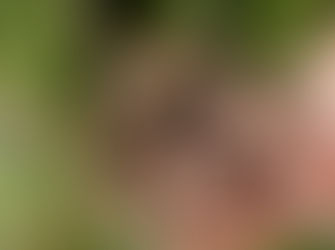 Spring into worm farming, composting workshops