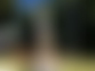 ANZAC Day in Nelligen