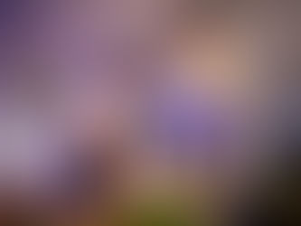 Chef Colin Fassnidge is back to the Narooma Oyster Festival