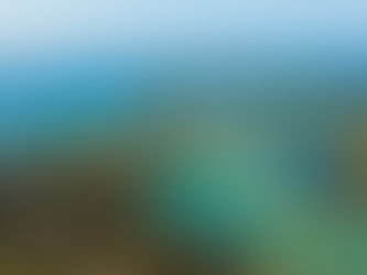 Bermagui Sewage Spill