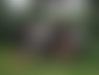 Enjoy Shakespeare outside, just as you like it