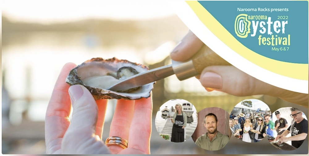 Oysters are back on in Narooma