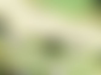 Works begin to upgrade Caseys Beach seawall