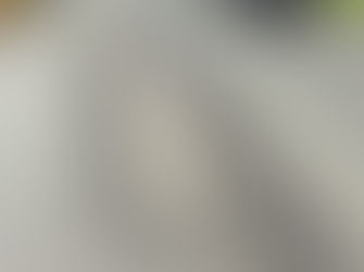 Moruya Chamber: How long before there is any action?