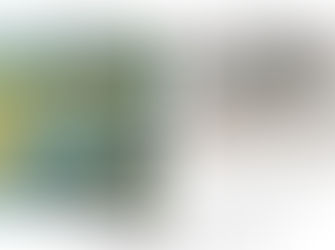 Stuart Whitelaw & Gillian Wilde at Gallery Bodalla