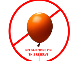 Eurobodalla Council passes balloon release ban