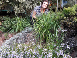 Branch out for National Tree Day this Sunday