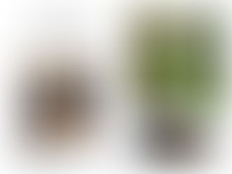 Gallery Bodalla: Gordon – Chris – Anneke from Jan 10th to Feb 12th