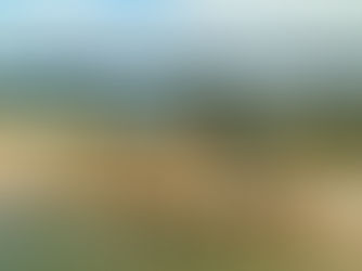 Community votes with their paddle out craft to support marine protection