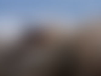 A response: The changing sealscape of Narooma