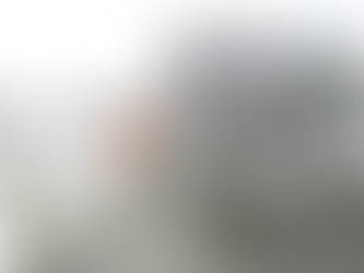 Just what is a Mayoral Minute and why did Liz Innes do two without notice