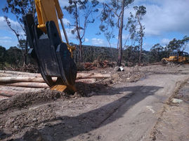 Voters warned of logging industry fake-news in Eden-Monaro