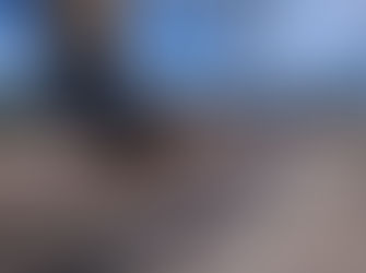 Voters warned of logging industry fake-news in Eden-Monaro