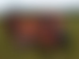 Eurobodalla Footy Show Weekend Scoreboard July 17th