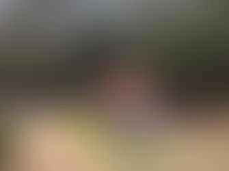 Celebrate Children’s Week with Fun Day Picnic at the Gardens Oct 24th