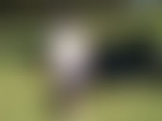 Tuross Head Ladies Golf