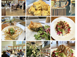 Celebrate National Tree Day at the Eurobodalla Regional Botanic Garden this weekend