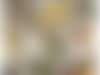 Celebrate National Tree Day at the Eurobodalla Regional Botanic Garden this weekend