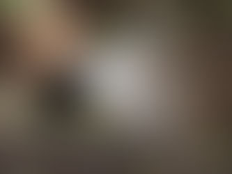 Supporting Wildlife on your Land Workshop Batemans Bay