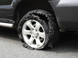 Council to receive Annual Report