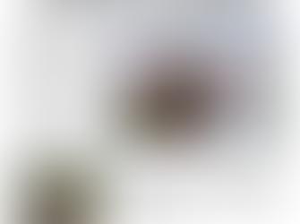 The Triangle - April 2022 is OUT NOW