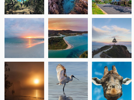 Editorial Oct 20th, 2017