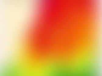 Tackle World Fishing Report - Feb 19th 2021