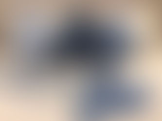 Featured Craft Artist at The Gallery, Mogo: Noelene GIBBS