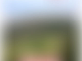 Mount Gulaga walking trail been closed indefinitely by the National Parks and Wildlife Service