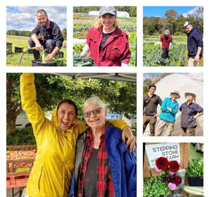 Commercial marketing gardening internships now open