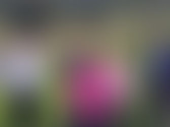 $8m radiation therapy centre promised for Eurobodalla