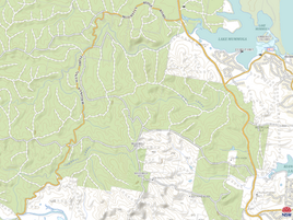 Is Council walking away from another PUBLIC Road under its control