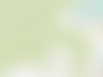 Is Council walking away from another PUBLIC Road under its control