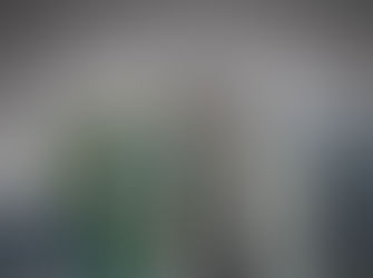 Bega Regional Gallery to host award-winning glass sculptor Clare Belfrage