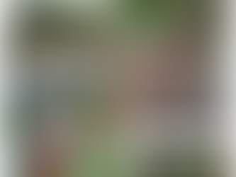 Bay Bushwalkers: The Secret Door