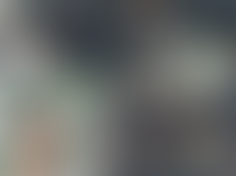 Mayor advises that they expect 45,000 mountain bike users in the first year at Mogo