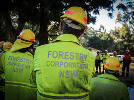 Hazard reduction burning beginning across South Coast