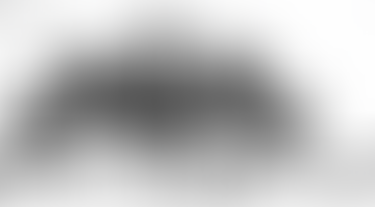 Braidwood Bugle now in 'print'