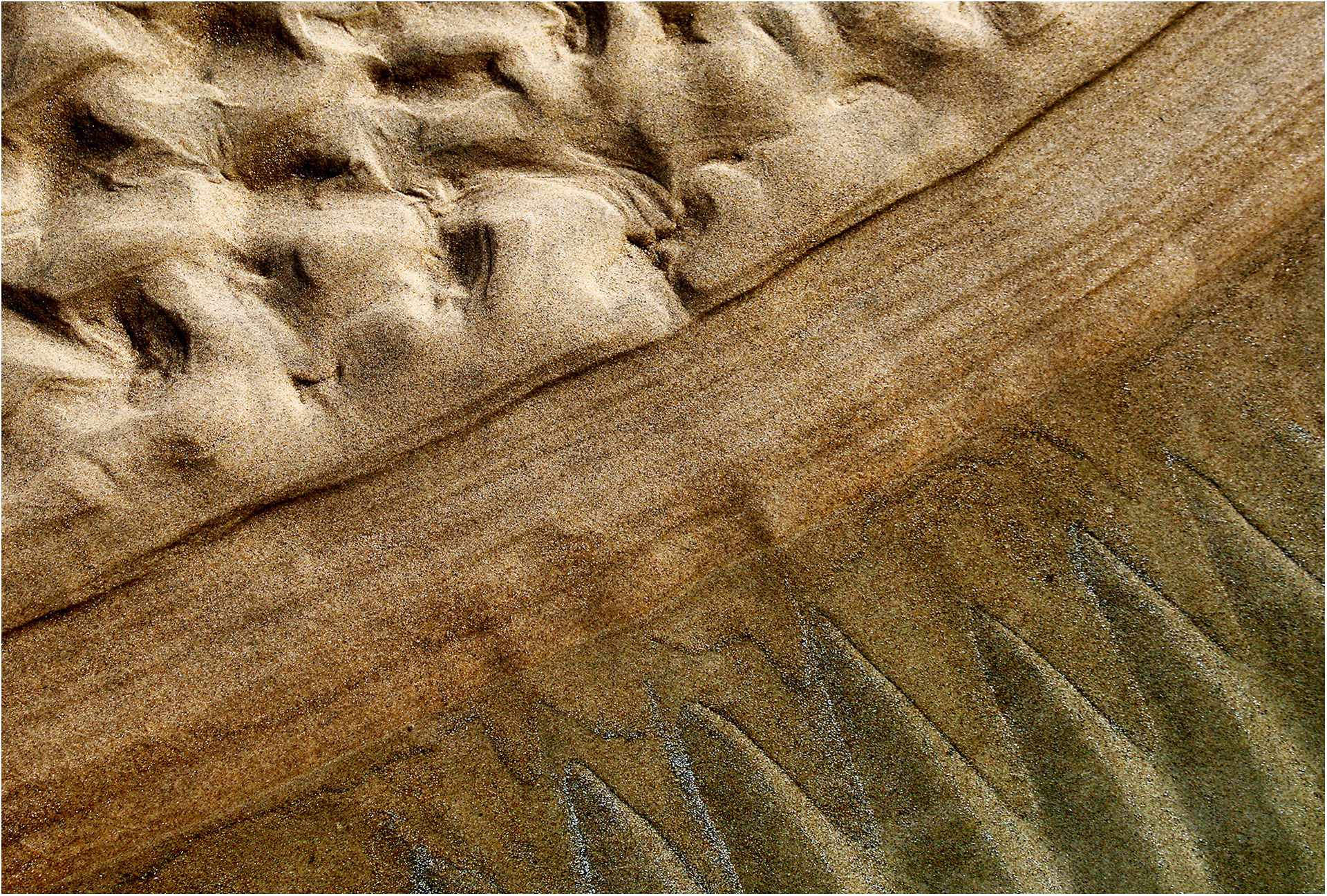 Silver- Brian Gunter -Sandy Shoreline