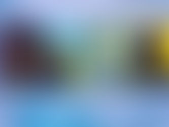 Narooma Kinema and The River of Art