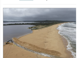 Your Beagle midweek edition March 2nd 2022 is OUT NOW