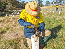 New wildlife corridors helping to protect native animals in the Eurobodalla.