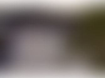 'Dressage by the Sea' @ Willinga Park