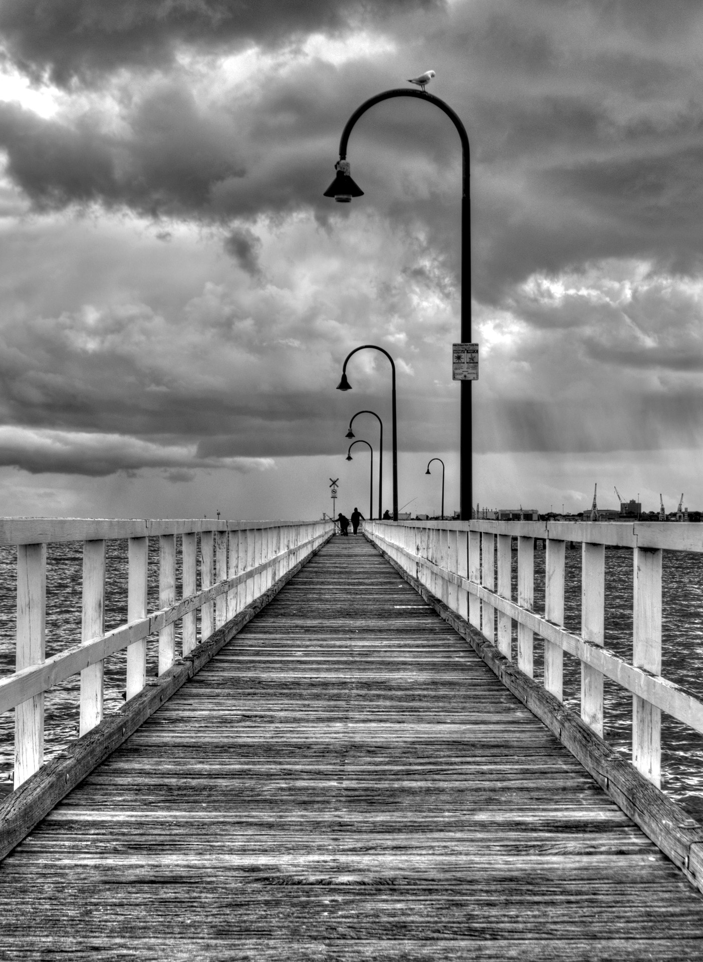 Beth Westra