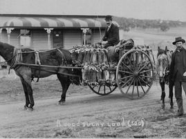 100 Years Ago 23-06-1923