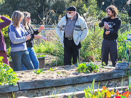 Veggies for All – Moruya – 10 August